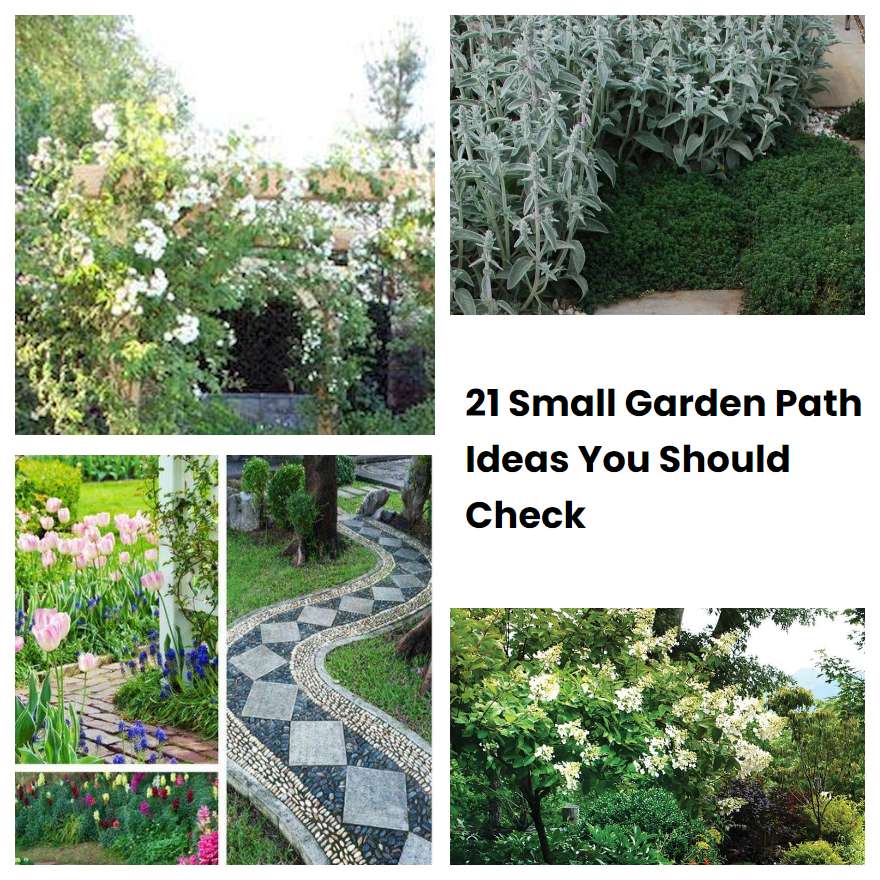 21 Small Garden Path Ideas You Should Check