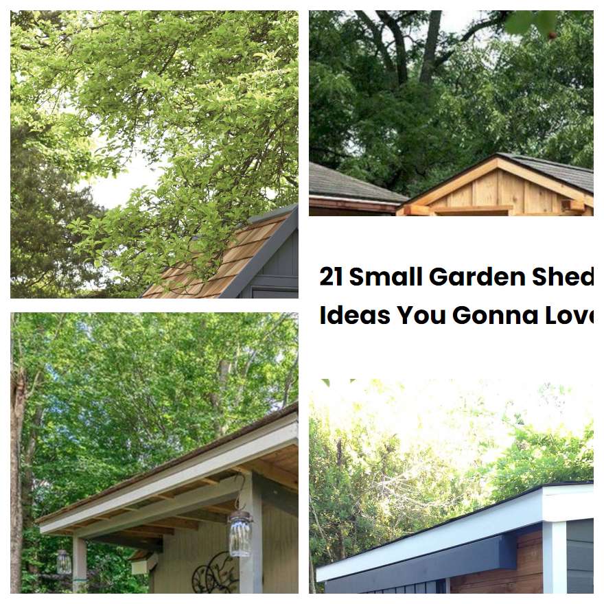 21 Small Garden Shed Ideas You Gonna Love