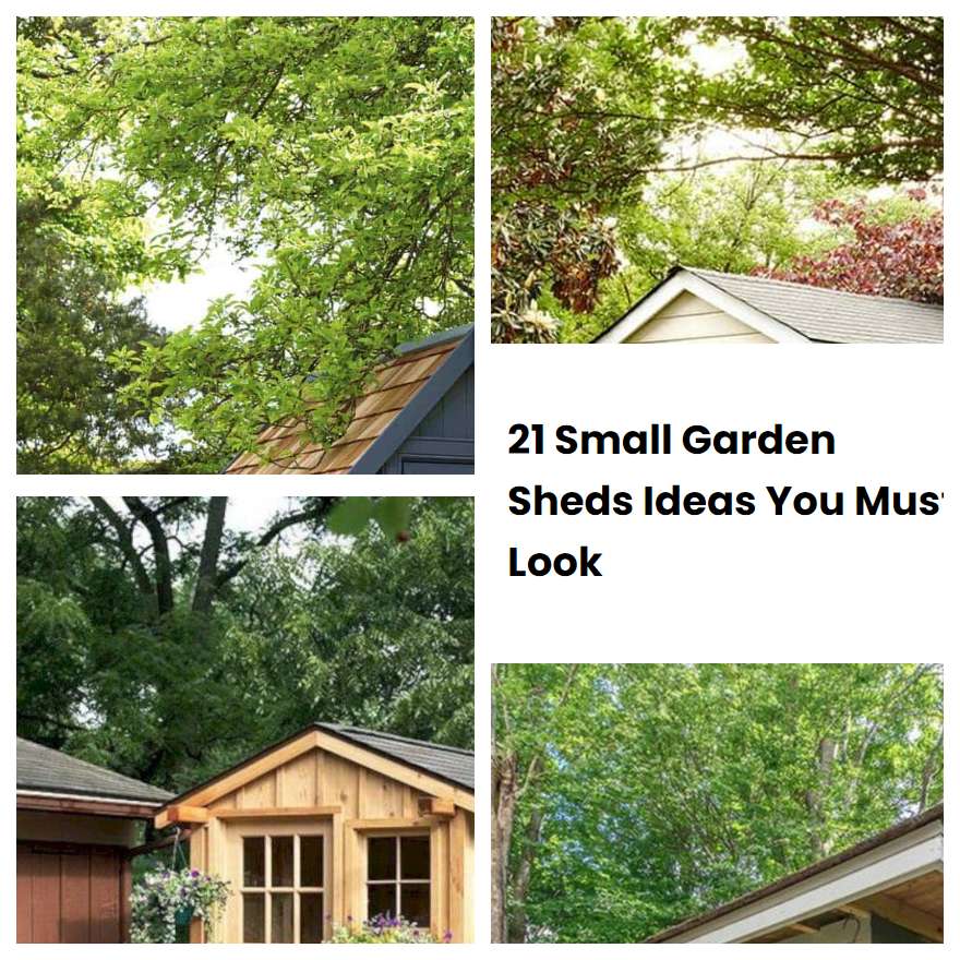 21 Small Garden Sheds Ideas You Must Look SharonSable