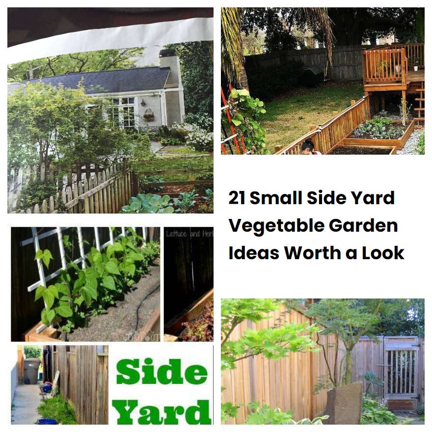 21 Small Side Yard Vegetable Garden Ideas Worth a Look SharonSable