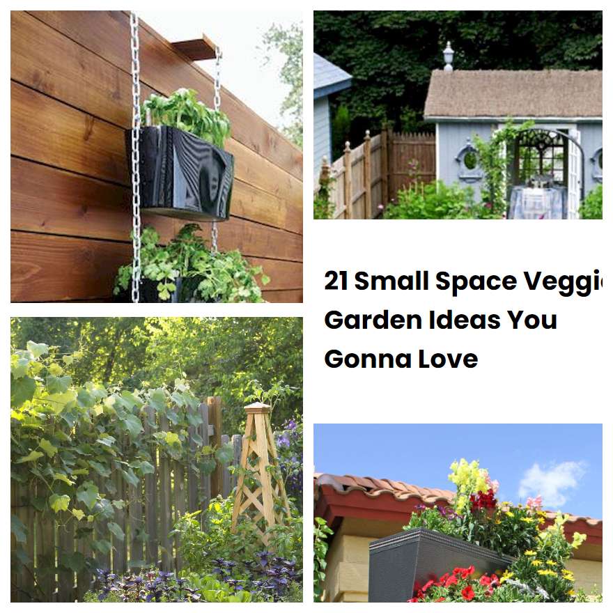 21 Small Space Veggie Garden Ideas You Gonna Love SharonSable
