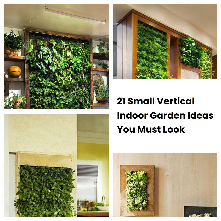 21 Small Vertical Indoor Garden Ideas You Must Look