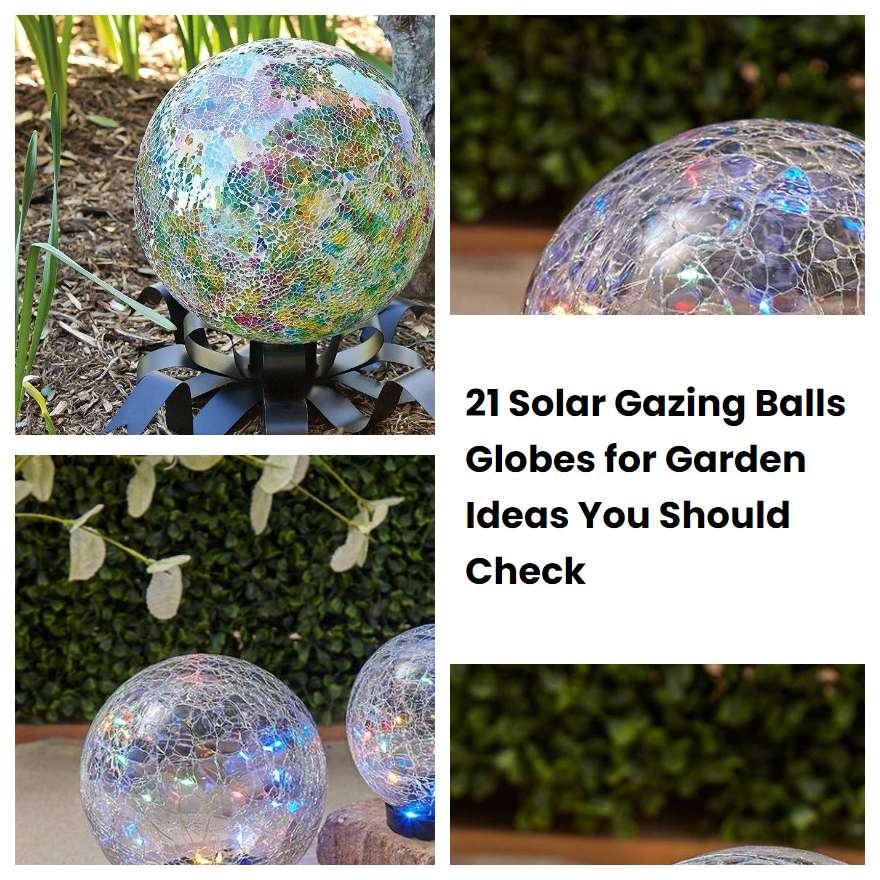 21 Solar Gazing Balls Globes for Garden Ideas You Should Check