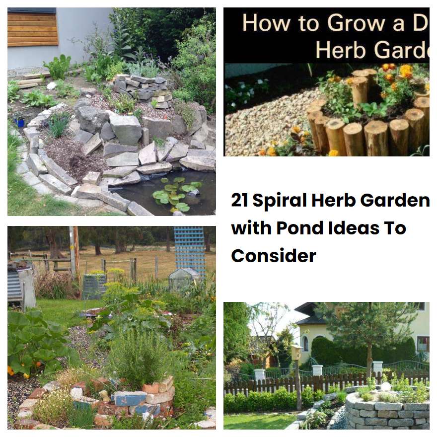 21 Spiral Herb Garden with Pond Ideas To Consider SharonSable