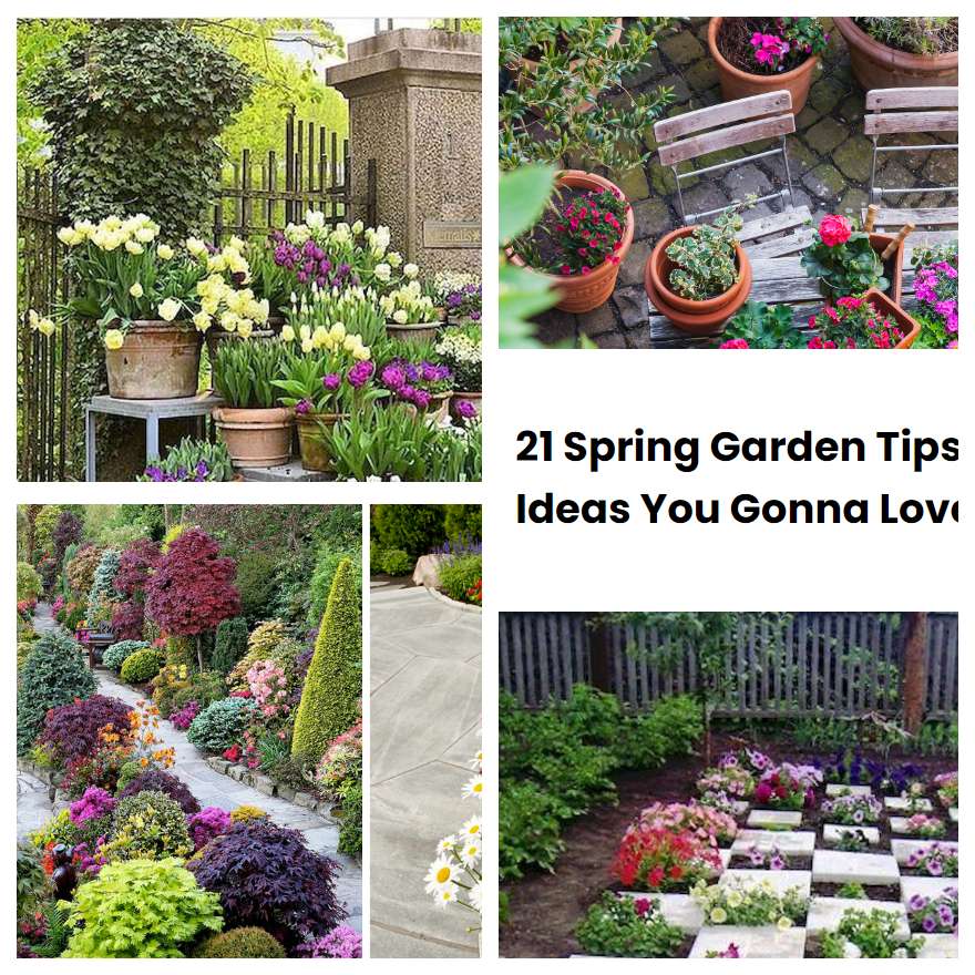 21 Spring Garden Tips Ideas You Gonna Love | SharonSable