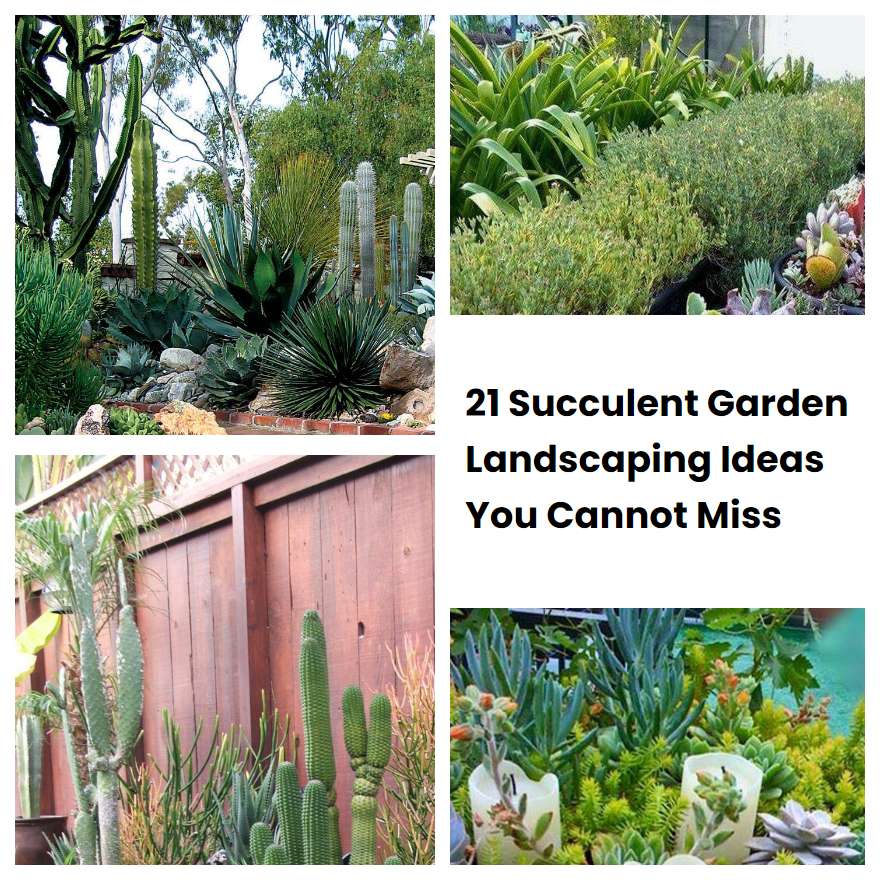 21 Succulent Garden Landscaping Ideas You Cannot Miss