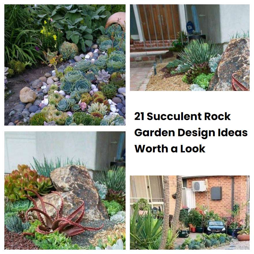 21 Succulent Rock Garden Design Ideas Worth a Look