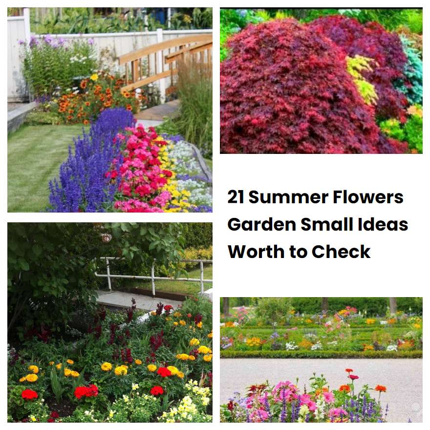 21 Summer Flowers Garden Small Ideas Worth to Check