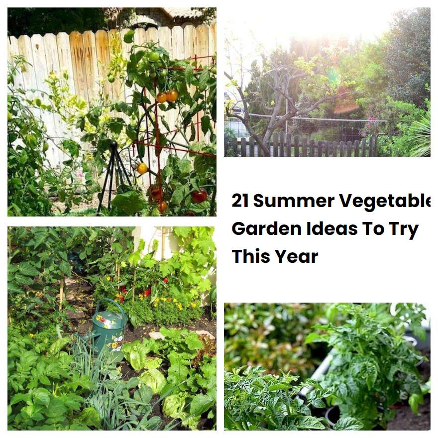 21 Summer Vegetable Garden Ideas To Try This Year | SharonSable