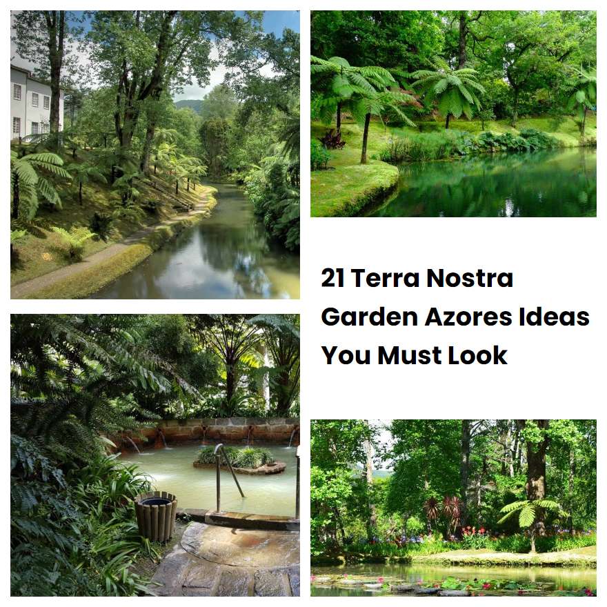 21 Terra Nostra Garden Azores Ideas You Must Look