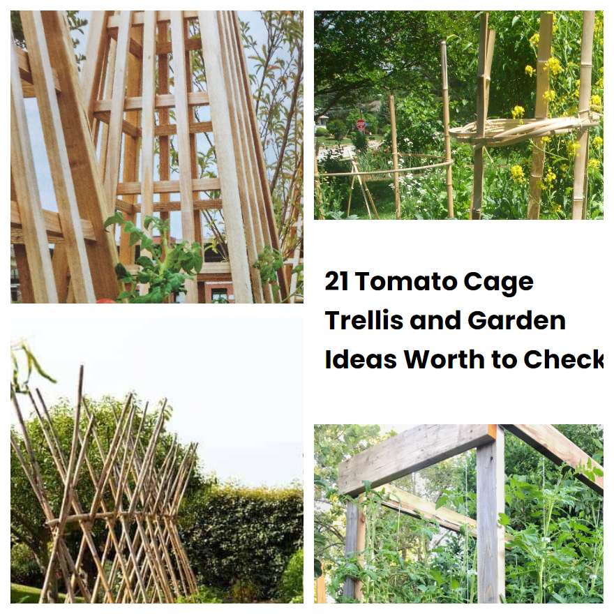21 Tomato Cage Trellis and Garden Ideas Worth to Check SharonSable