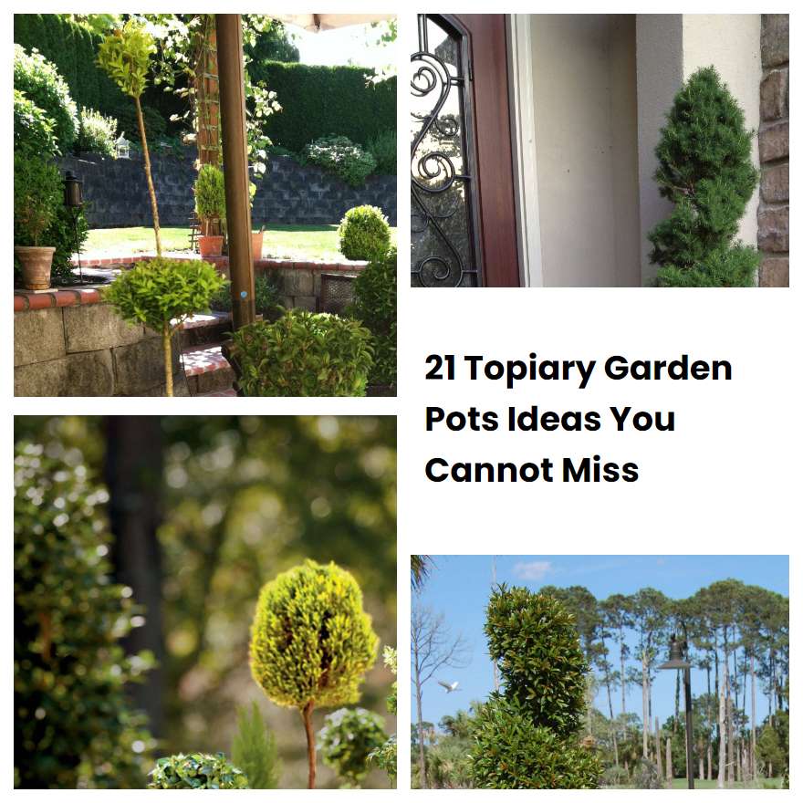 21 Topiary Garden Pots Ideas You Cannot Miss