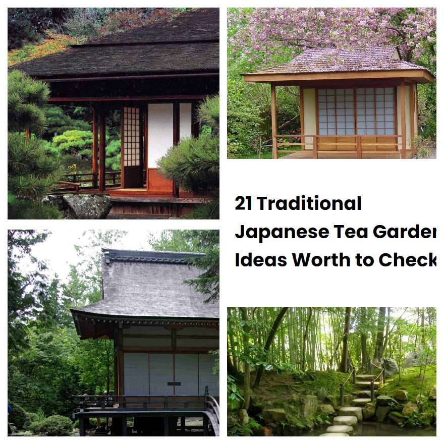 21 Traditional Japanese Tea Garden Ideas Worth to Check