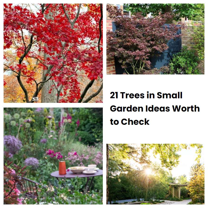 21 Trees in Small Garden Ideas Worth to Check