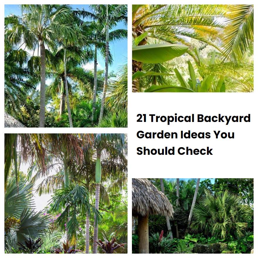 21 Tropical Backyard Garden Ideas You Should Check