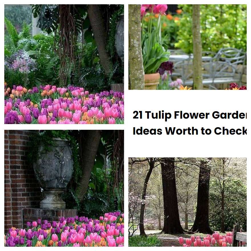 21 Tulip Flower Garden Ideas Worth to Check