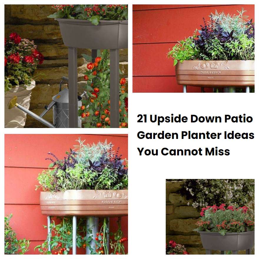 21 Upside Down Patio Garden Planter Ideas You Cannot Miss