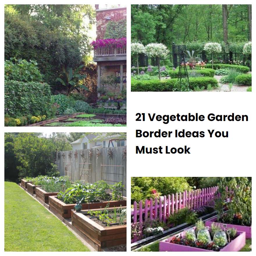 21 Vegetable Garden Border Ideas You Must Look SharonSable