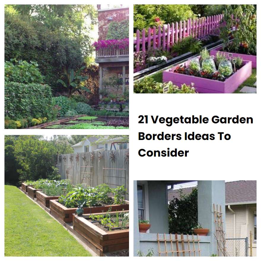 21 Vegetable Garden Borders Ideas To Consider
