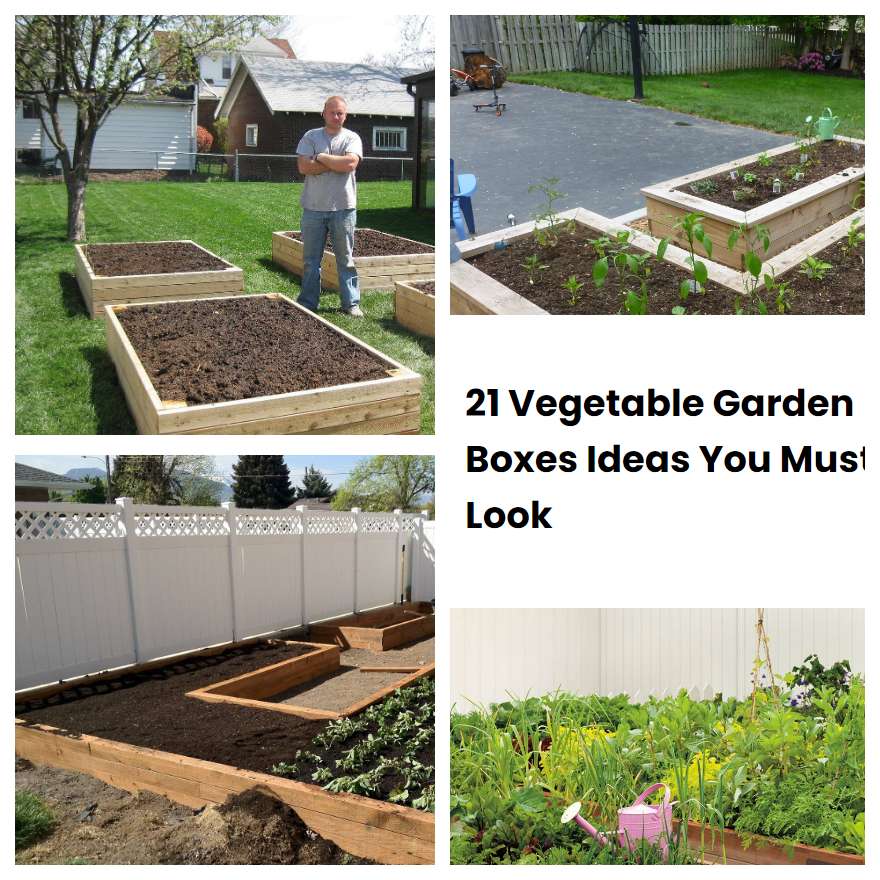 21 Vegetable Garden Boxes Ideas You Must Look SharonSable