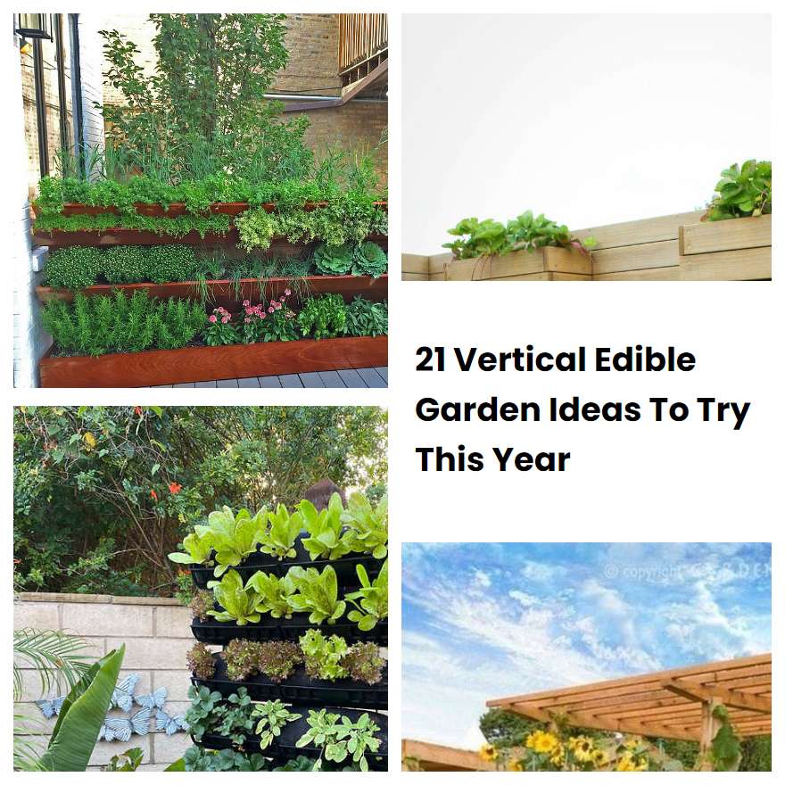 21 Vertical Edible Garden Ideas To Try This Year SharonSable
