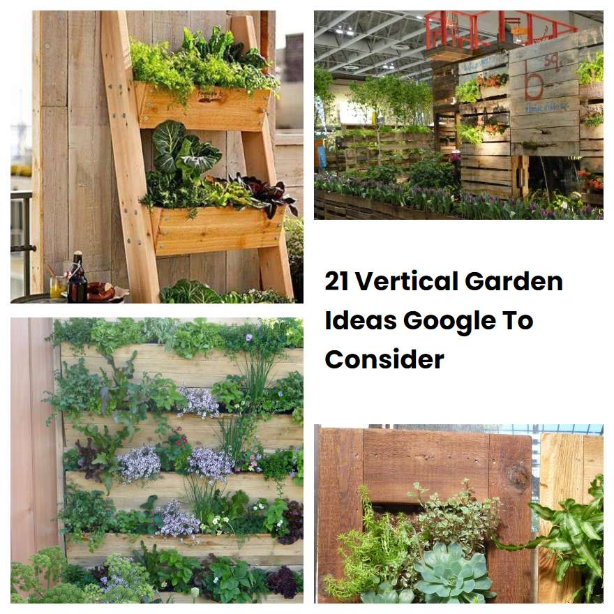 21 Vertical Garden Ideas Google To Consider