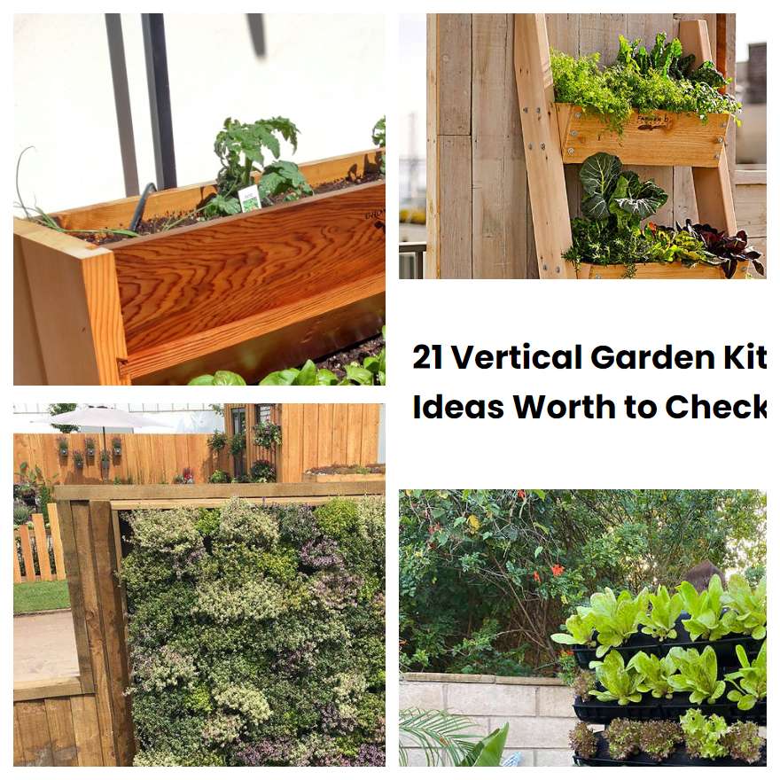 21 Vertical Garden Kit Ideas Worth to Check SharonSable