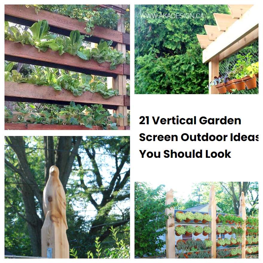 21 Vertical Garden Screen Outdoor Ideas You Should Look SharonSable
