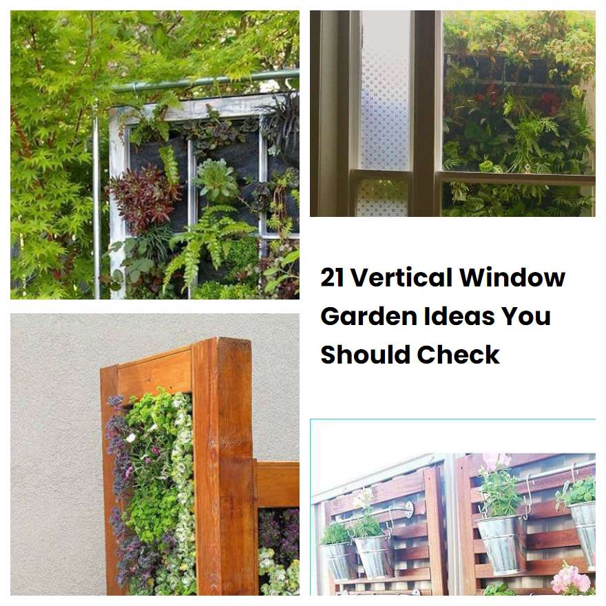 21 Vertical Window Garden Ideas You Should Check SharonSable