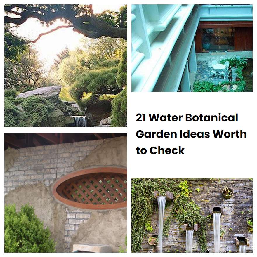 21 Water Botanical Garden Ideas Worth to Check
