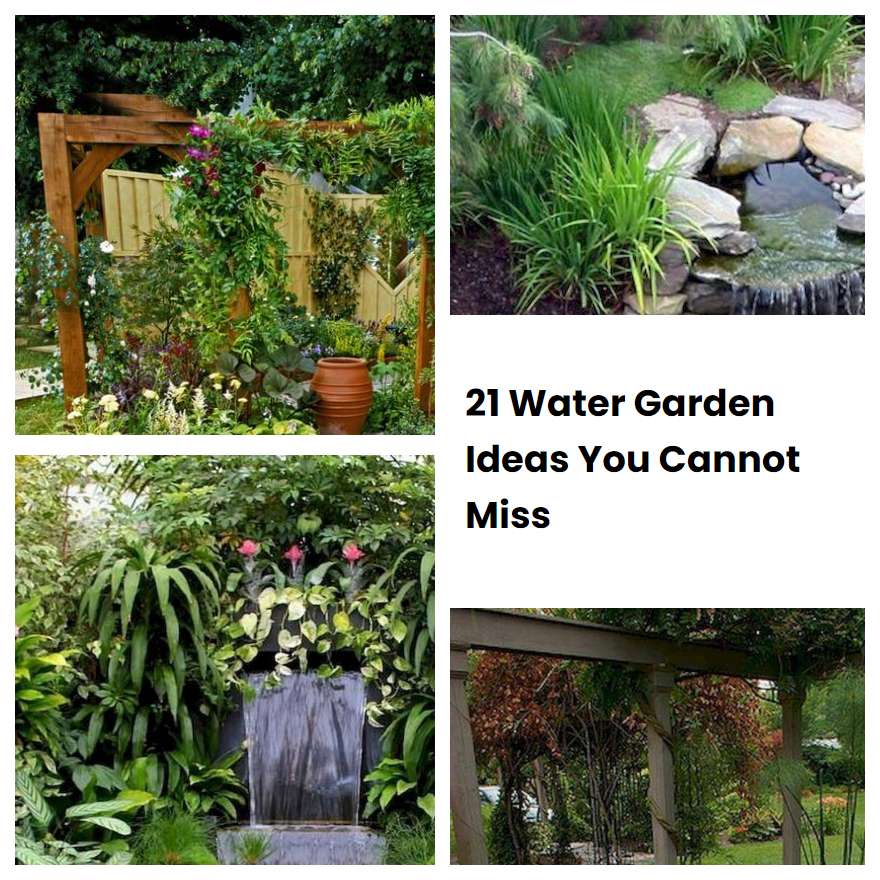21 Water Garden Ideas You Cannot Miss