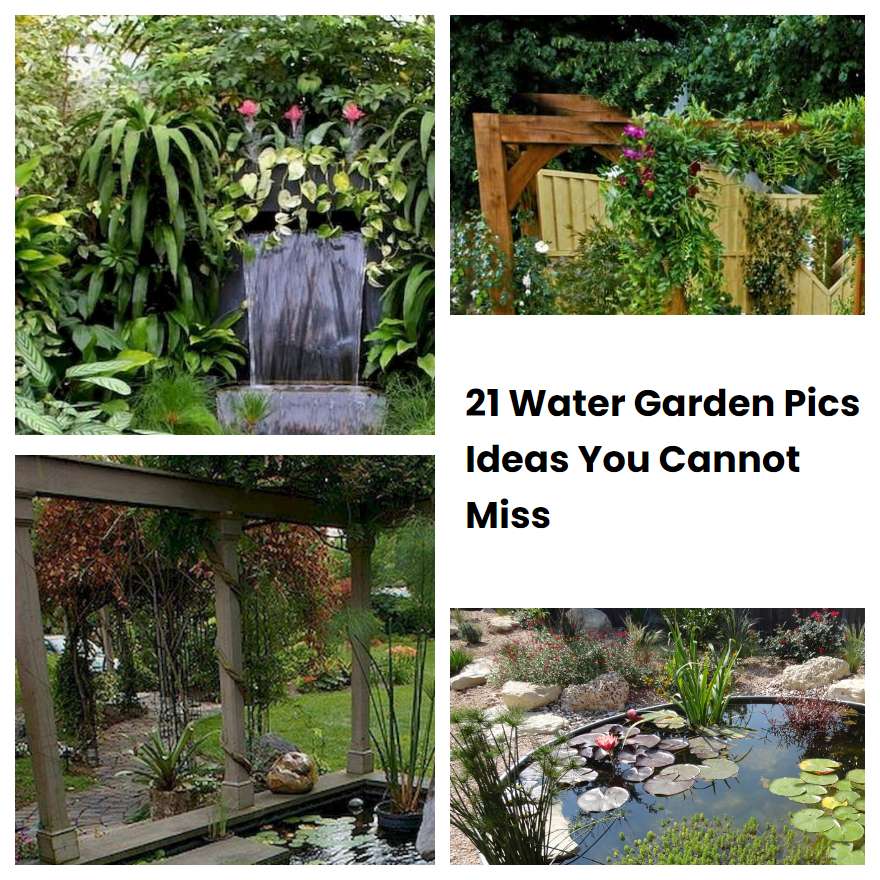 21 Water Garden Pics Ideas You Cannot Miss