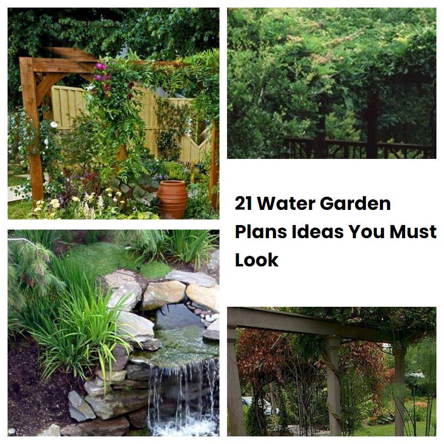 21 Water Garden Plans Ideas You Must Look SharonSable
