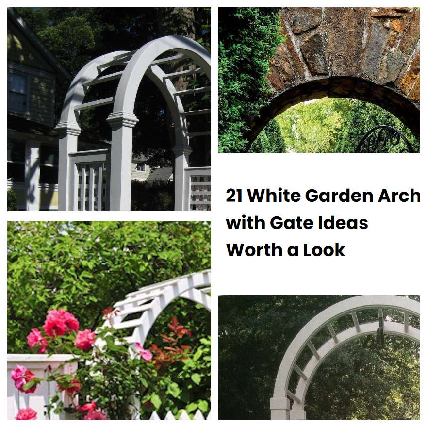 21 White Garden Arch with Gate Ideas Worth a Look