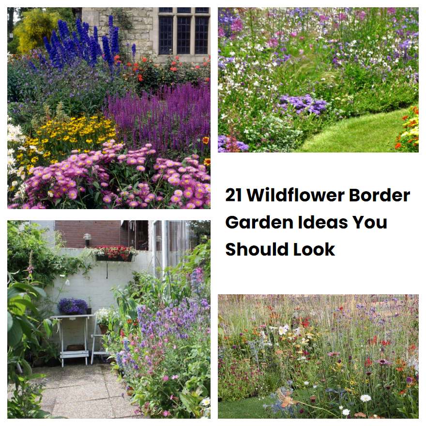 21 Wildflower Border Garden Ideas You Should Look SharonSable