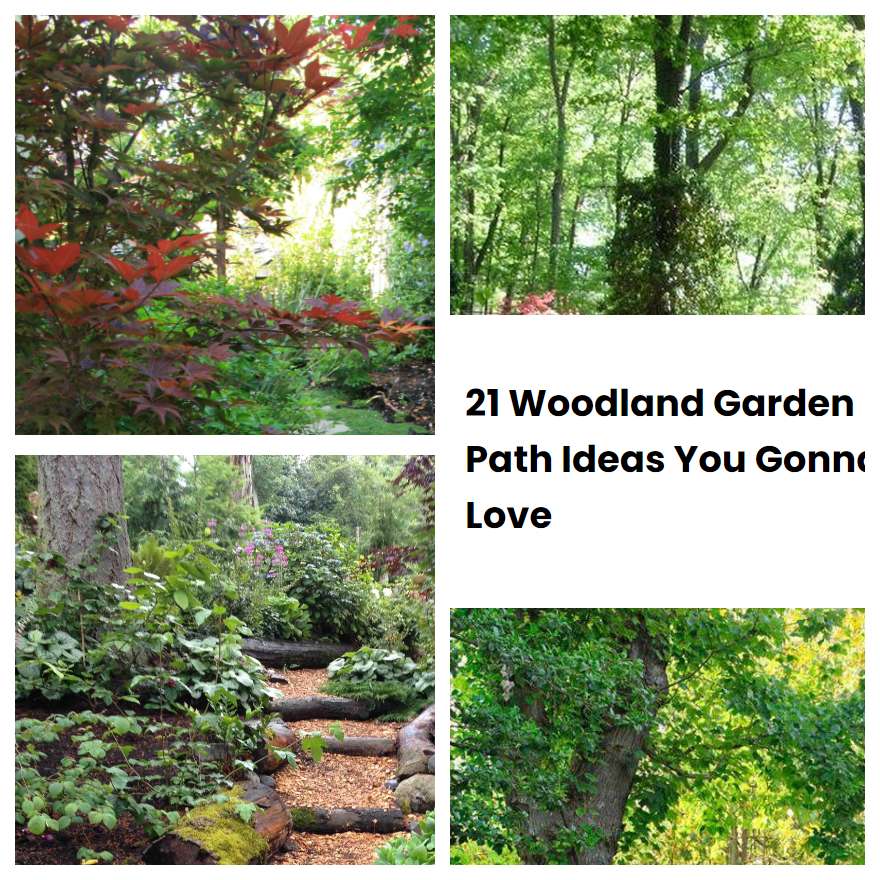 21 Woodland Garden Path Ideas You Gonna Love