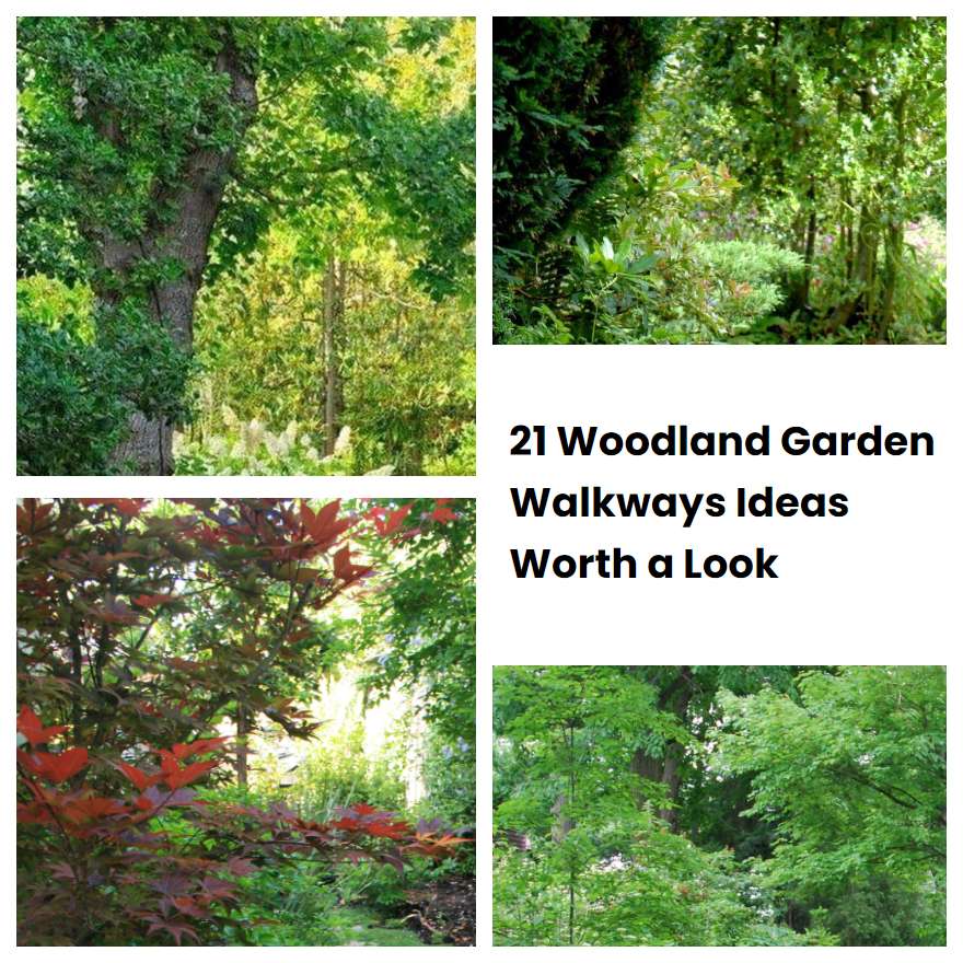 21 Woodland Garden Walkways Ideas Worth a Look