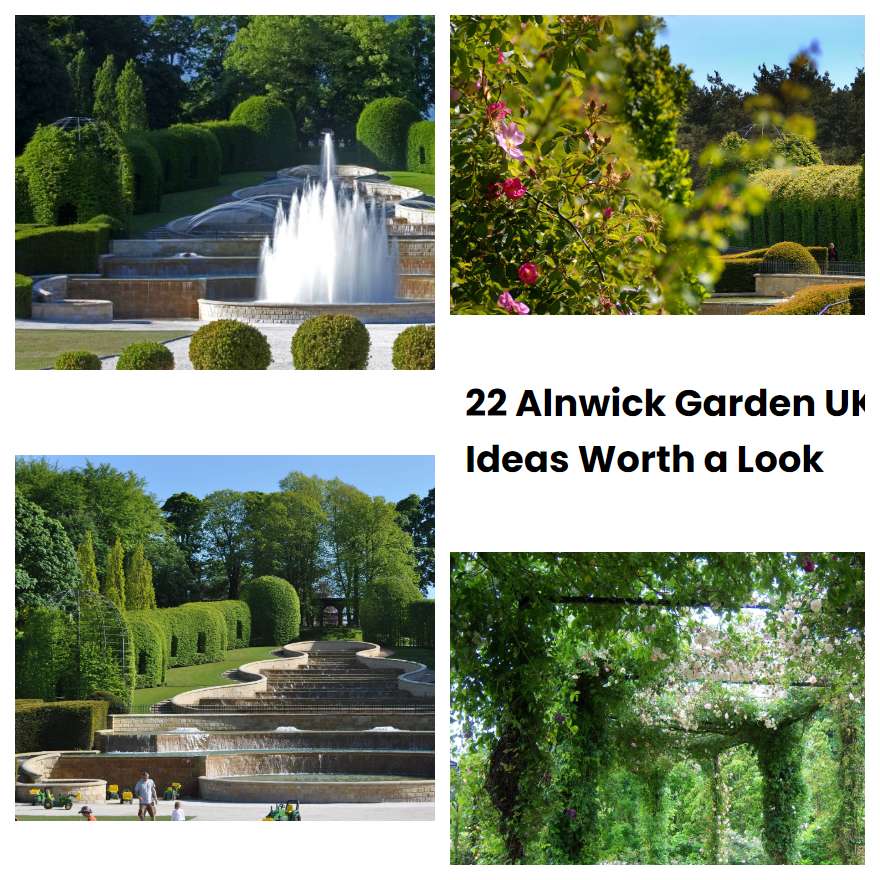 22 Alnwick Garden UK Ideas Worth a Look