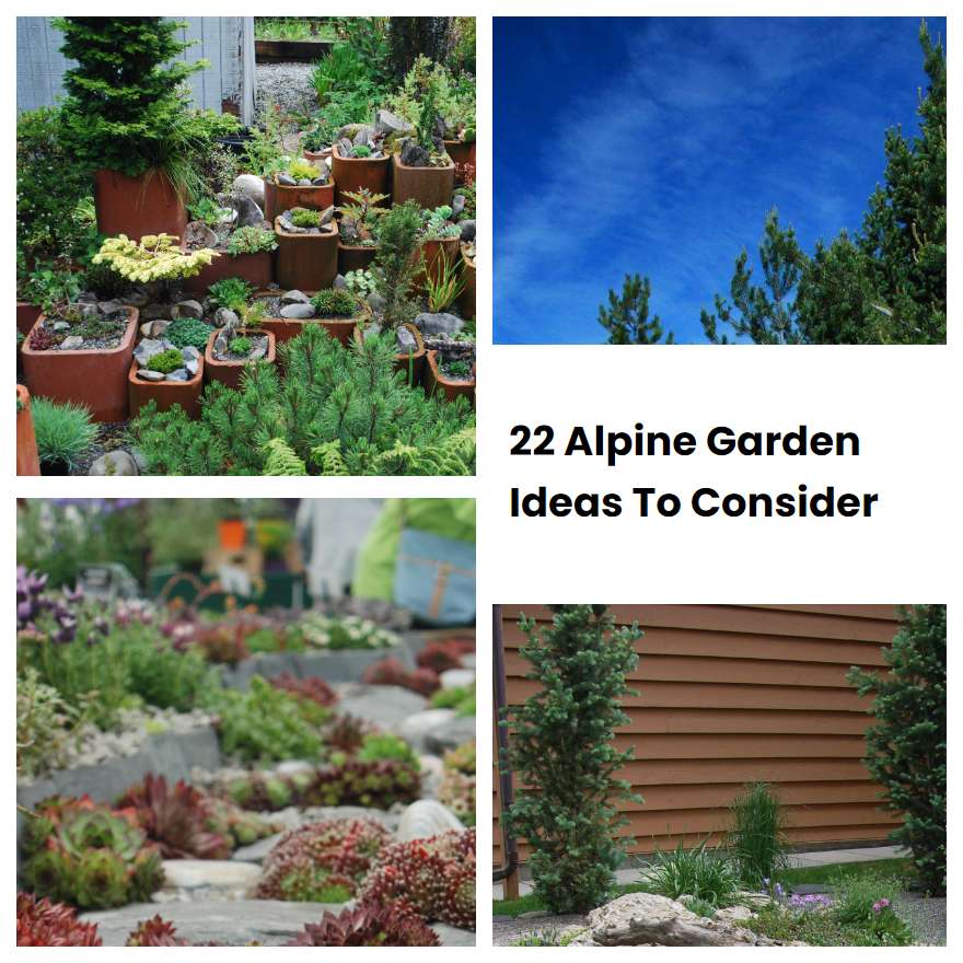 22 Alpine Garden Ideas To Consider