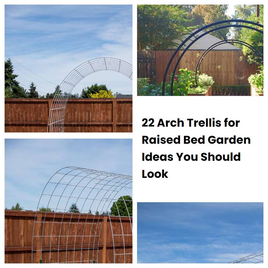 22 Arch Trellis for Raised Bed Garden Ideas You Should Look