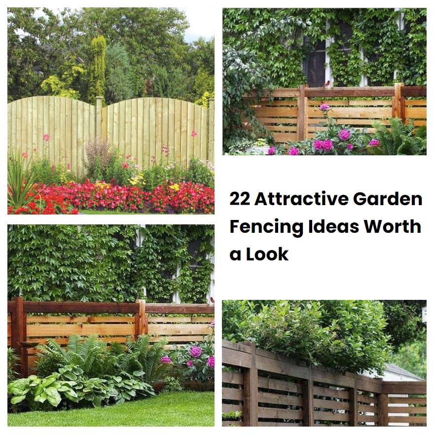22 Attractive Garden Fencing Ideas Worth a Look
