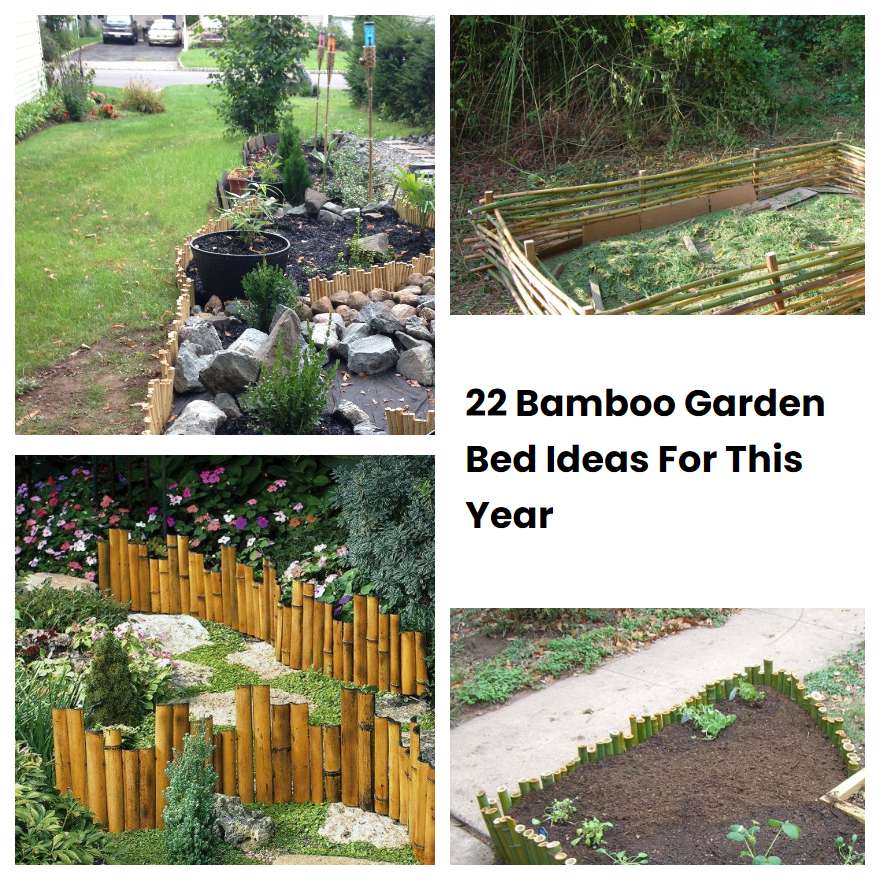 22 Bamboo Garden Bed Ideas For This Year SharonSable