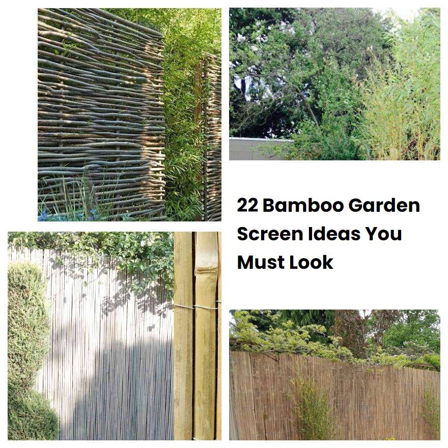 22 Bamboo Garden Screen Ideas You Must Look SharonSable