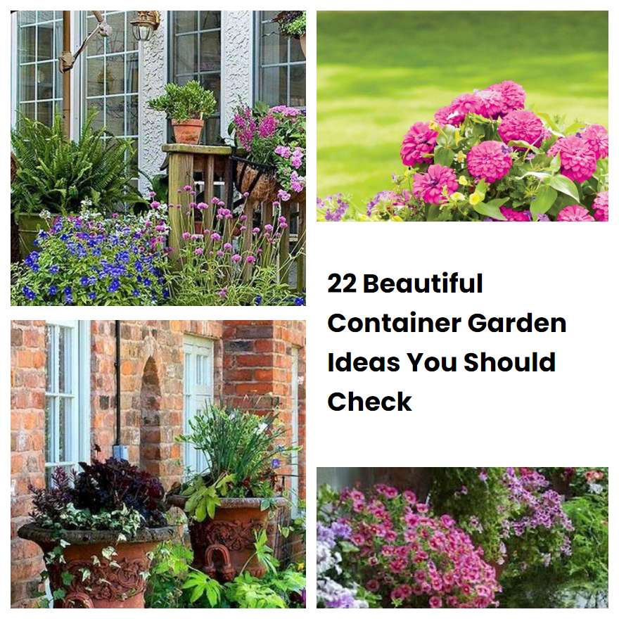 22 Beautiful Container Garden Ideas You Should Check | SharonSable