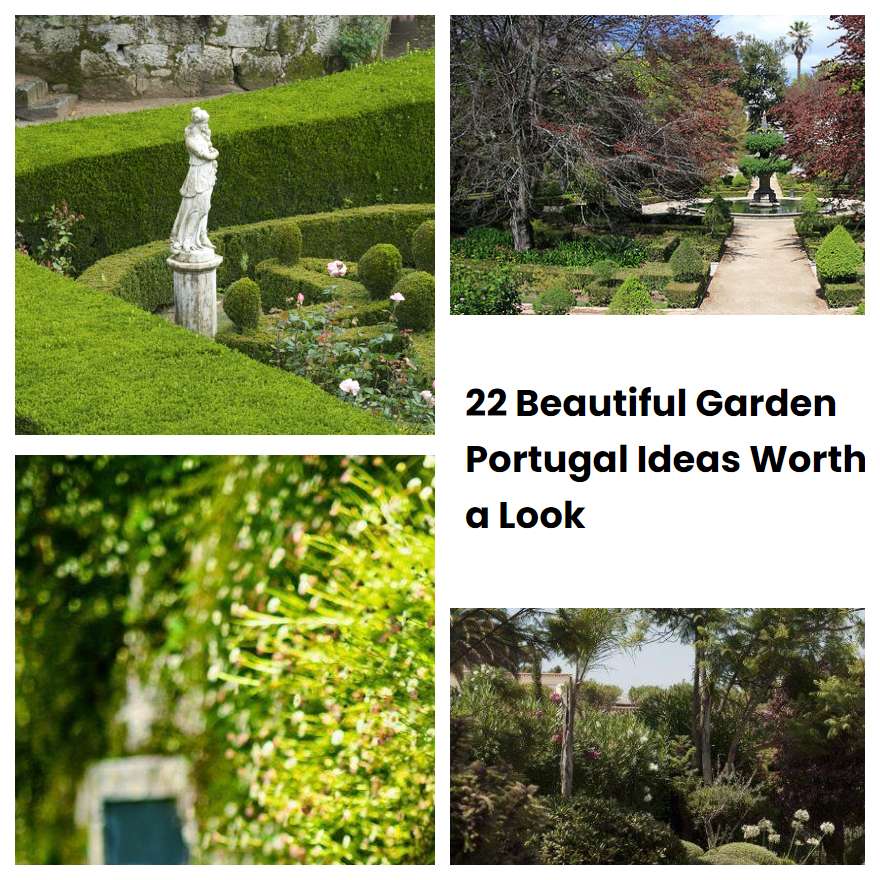 22 Beautiful Garden Portugal Ideas Worth a Look