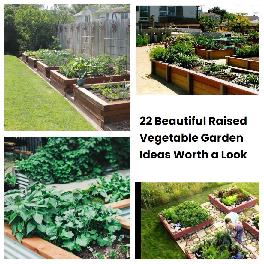 22 Beautiful Raised Vegetable Garden Ideas Worth a Look