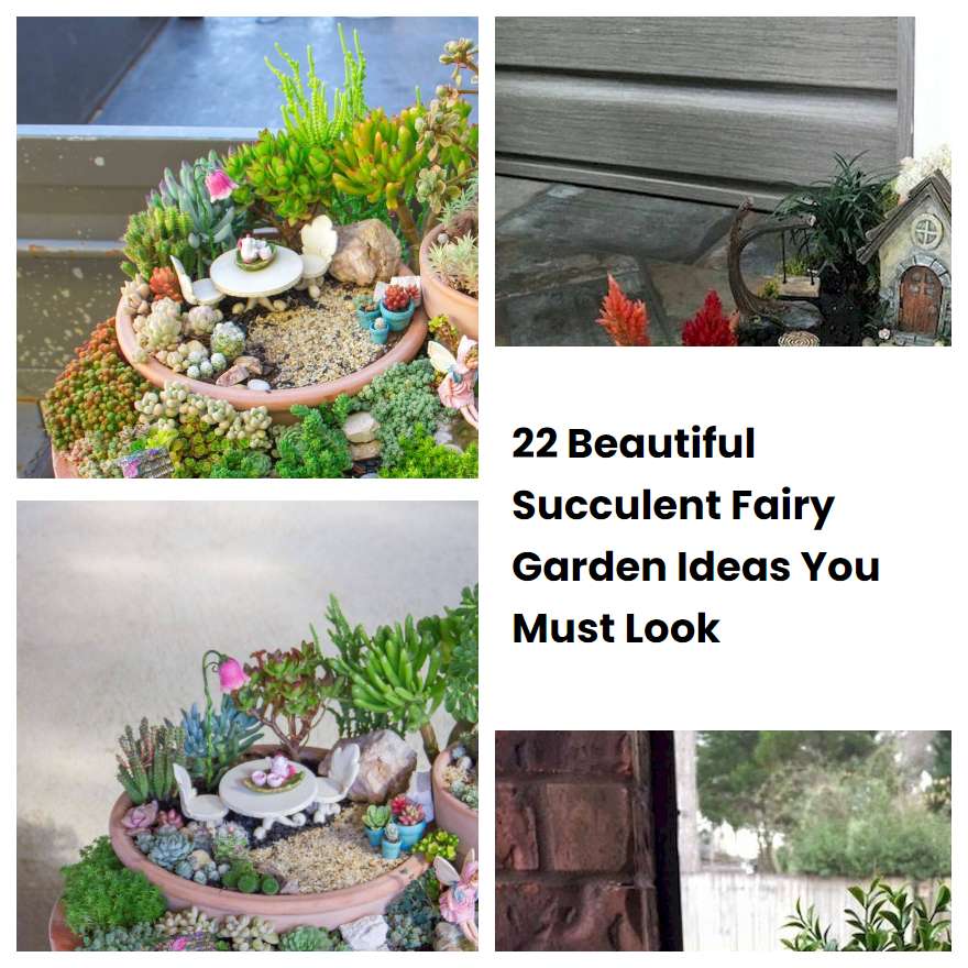 22 Beautiful Succulent Fairy Garden Ideas You Must Look
