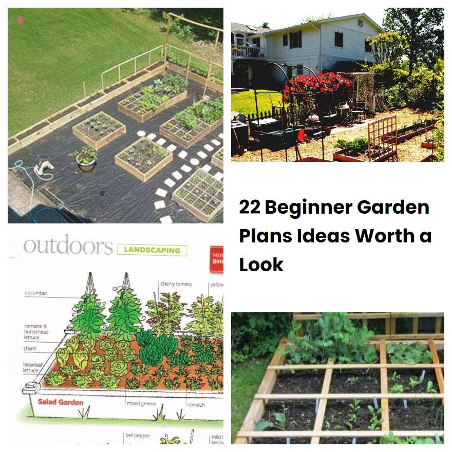 22 Beginner Garden Plans Ideas Worth a Look SharonSable