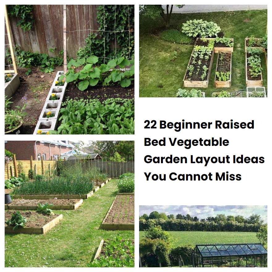 22 Beginner Raised Bed Vegetable Garden Layout Ideas You Cannot Miss