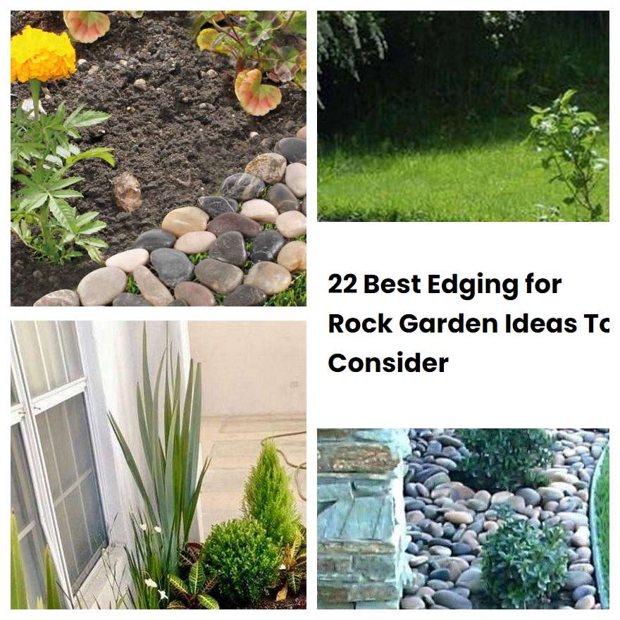 22 Best Edging for Rock Garden Ideas To Consider SharonSable